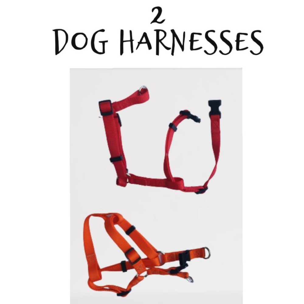 Set of 2 Adjustable Step In Nylon Small Dog Breed Harness with Buckle Closure